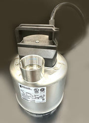 Goulds Sump Pump