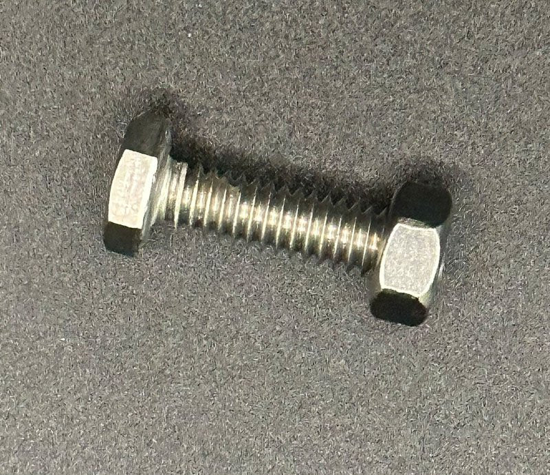 1/4" x 1" SS Bolt with Nut