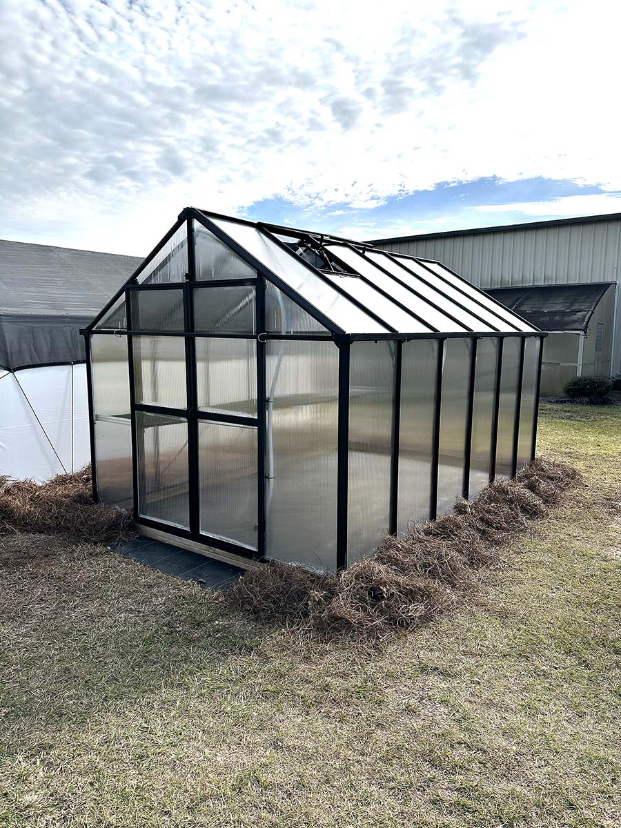 8 x 16 Evergreen Residential Greenhouse | Atlas Greenhouse